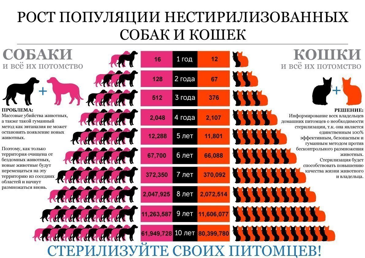 Из интернета в Яндекс.Картинках