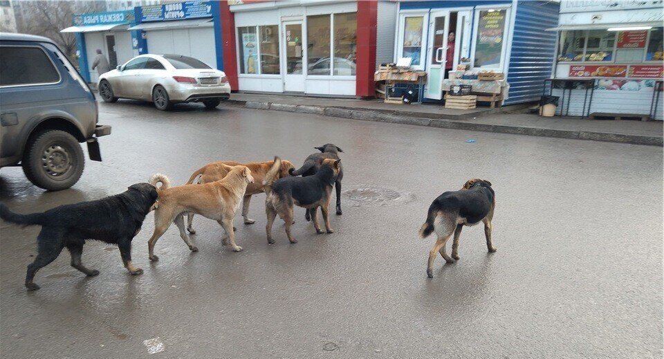 И это Астрахань