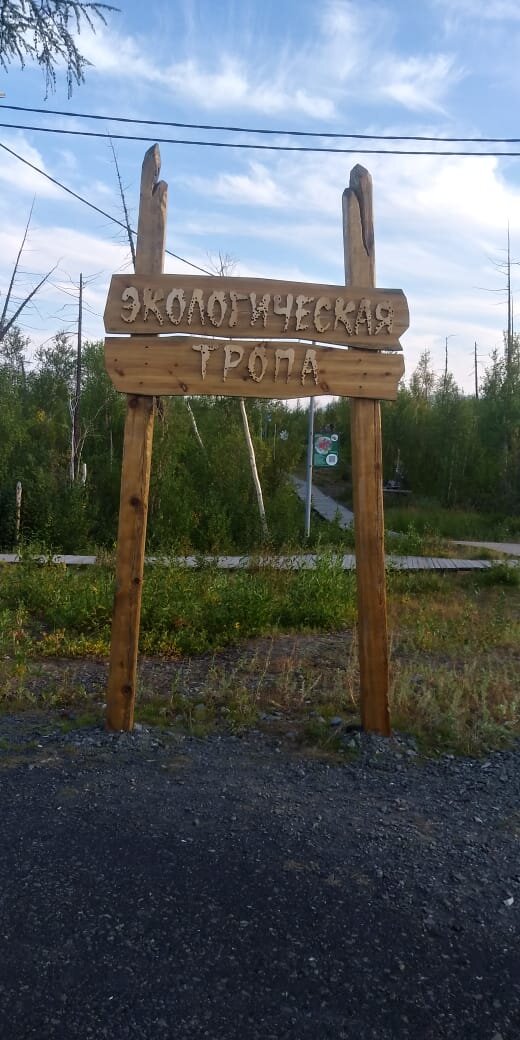 Начало пути