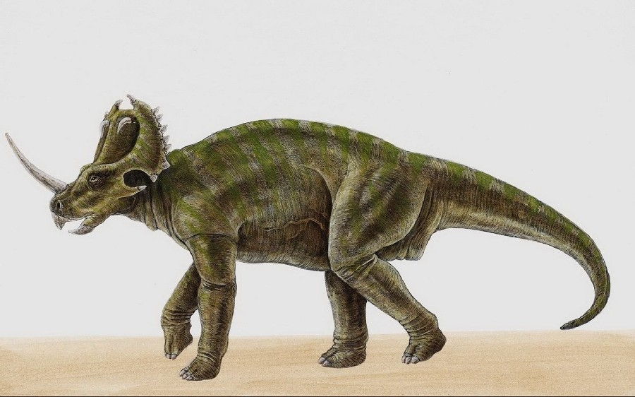 Изображение взято с ресурса "Яндекс.Картинки"