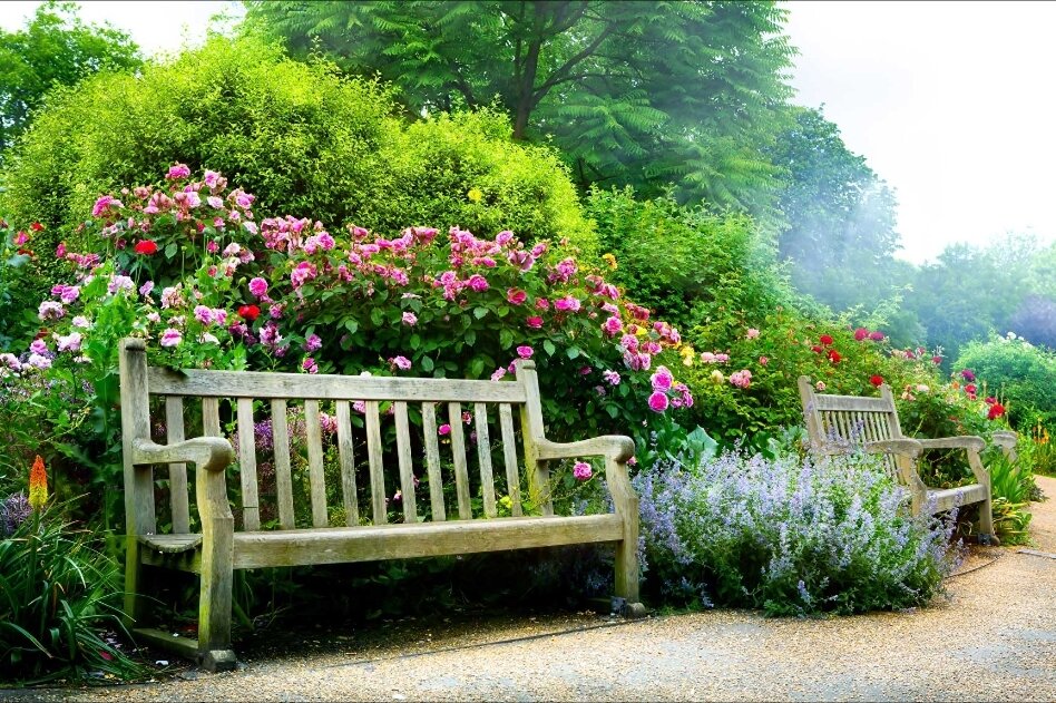 После тяжелых, но любимых забот в огороде приятно присесть, отдохнуть и оценить результат деятельности.  Невозможно представить дачный участок без скамейки. Однако после дождя сидеть на ней крайне неудобно, но благодаря смекалке это можно изменить. Сделайте спинку на петлях, и опускайте её во время дождя, чтобы сиденье скамейки на даче оставалось сухим.