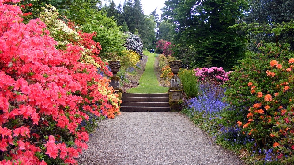 Создание ландшафтного дизайна на дачном участке