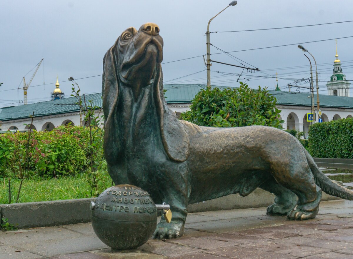 Собака кострома. Кострома памятник собаке пожарнику. Собака Бобка. Памятник собаке в Костроме история. Сковородка памятник Бобке Кострома.