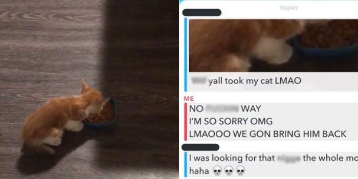 Пост Джульетты. Источник фото: https://koteiki.com/devushka-sluchayno-ukrala-chuzhogo-kota-a-potom-ponyala-eto-sluchilos-ne-zrya/