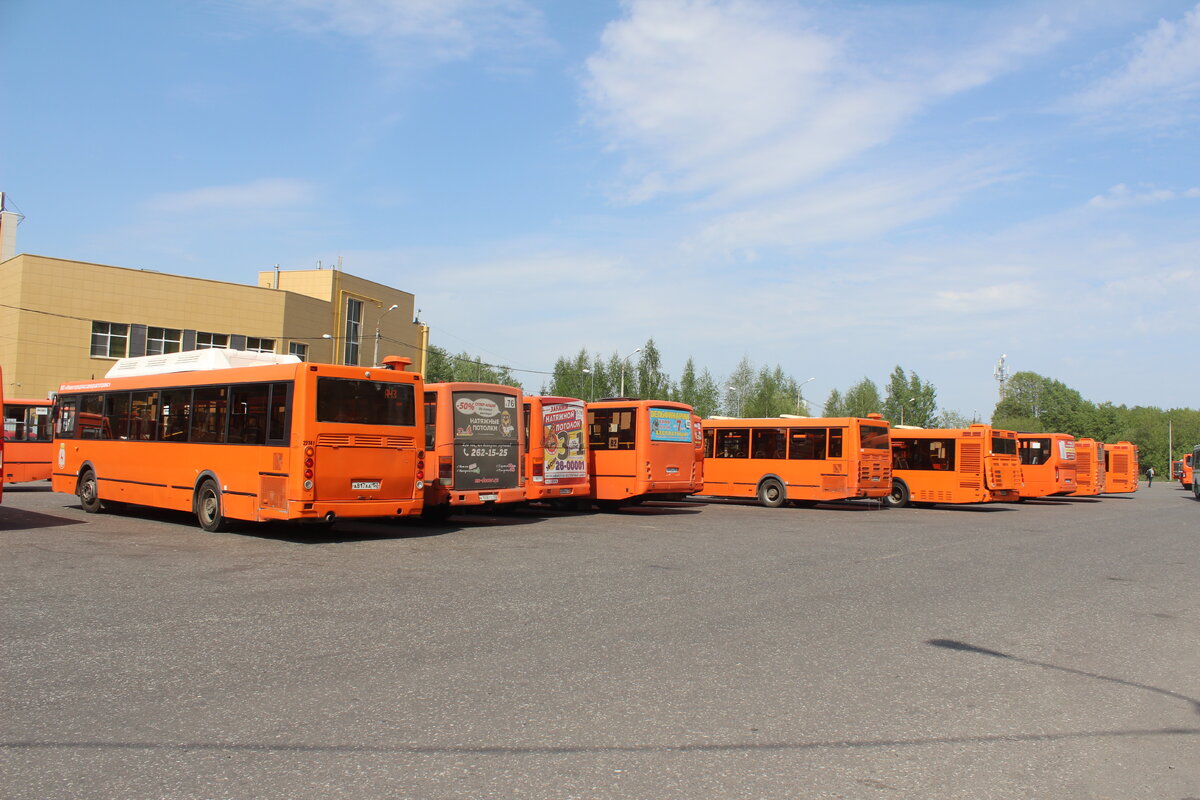 Фото: Сергей Круглов