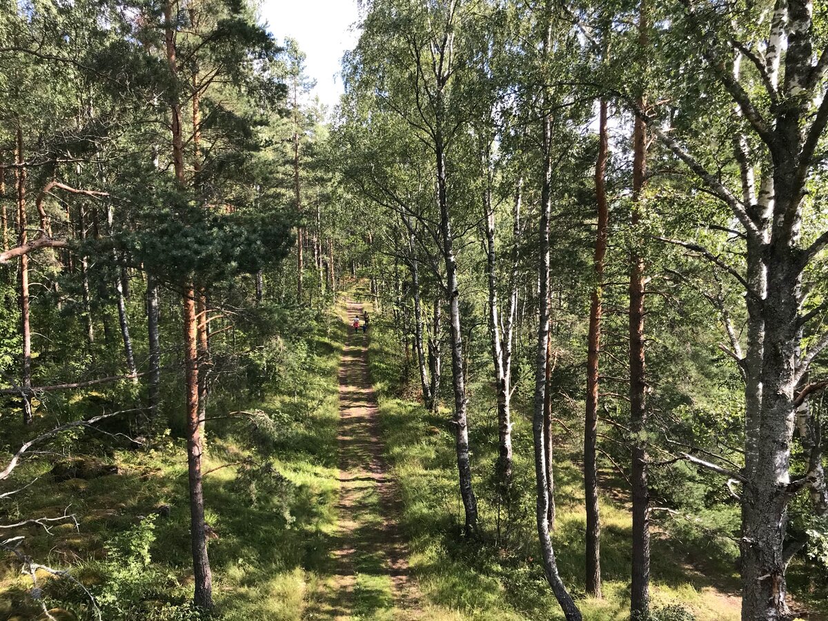 Стенд экологическая тропа в доу фото