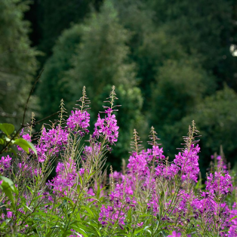 Фото Натальи Жуковой