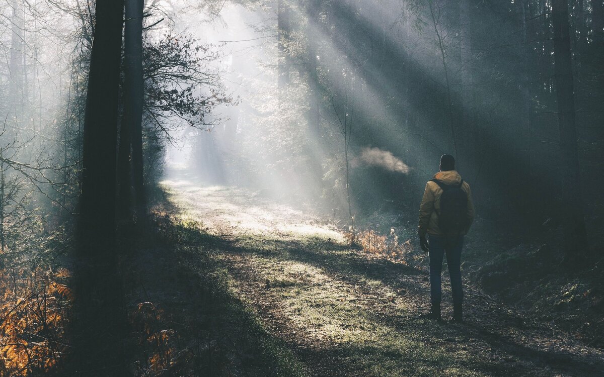 Это я, смотрю, в какой степени человек склонен быть честным.