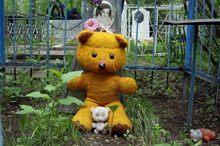 фото из открытых источников.