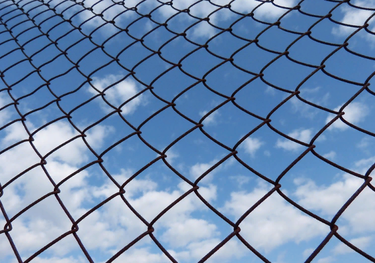 Заключение. Источник: https://pixabay.com