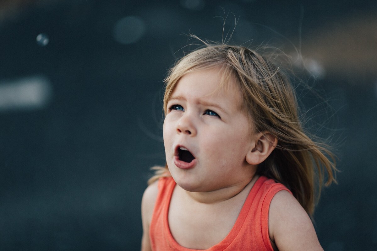 Источник фото - https://unsplash.com/