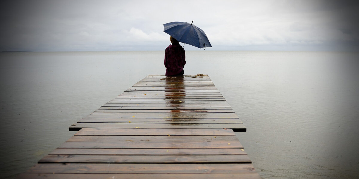 Картинка из открытых источников в интернете