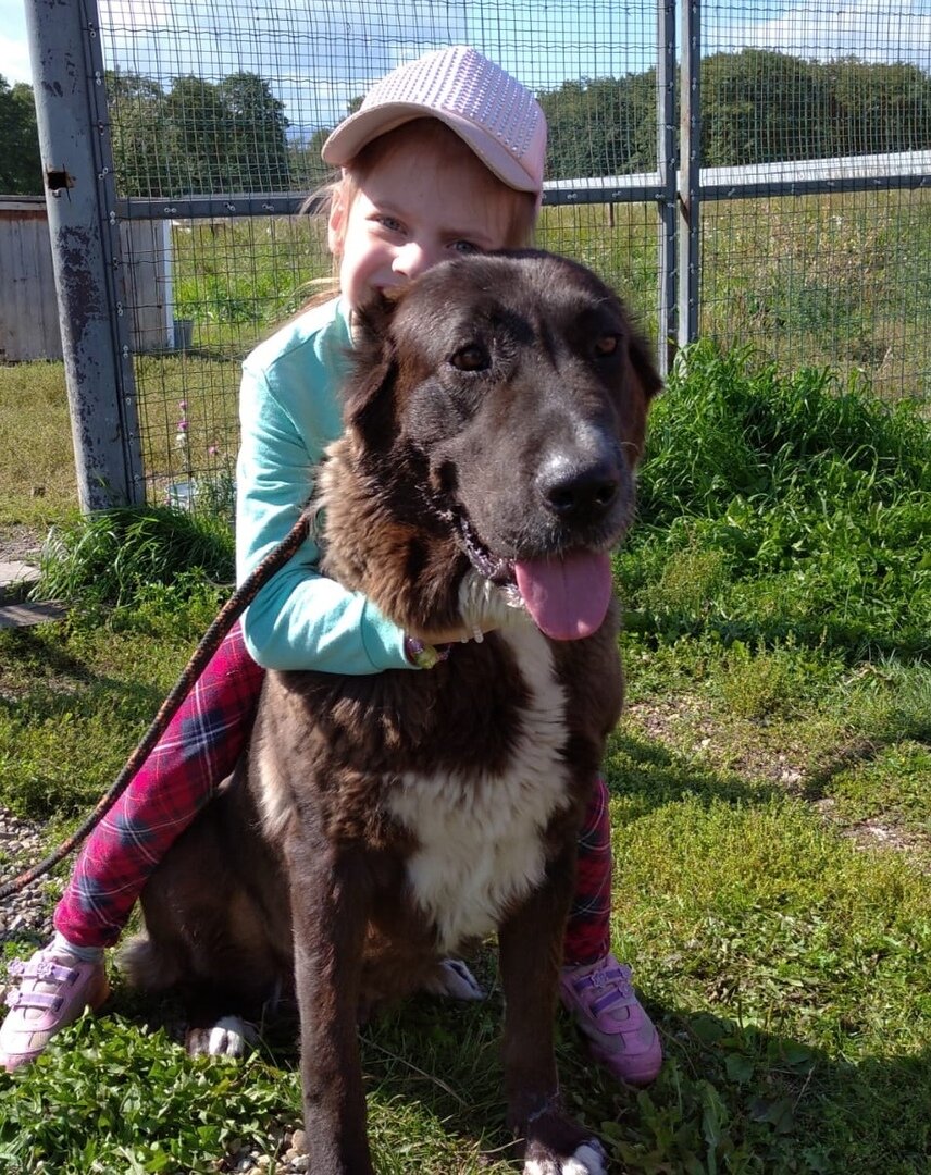 Обнимашки с алабаем на экскурсии в питомнике "Белый Лекарь". https://vk.com/beliy.lekar