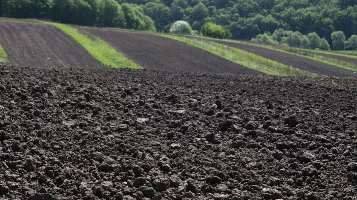 Фото: texpro24.ru
Фотография носит иллюстративный характер
