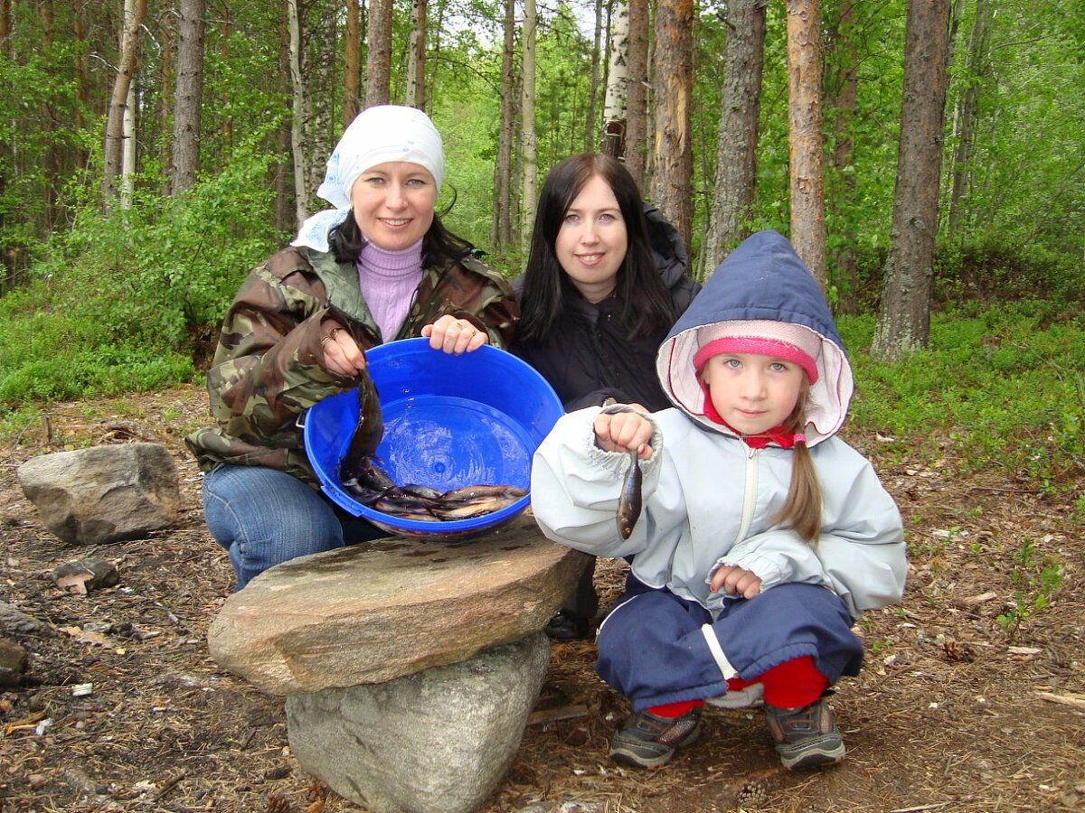 Конец июня на севере