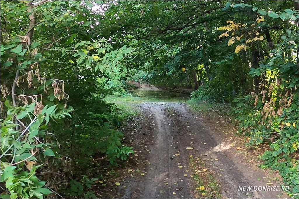 Дорога. Впереди глубокая лужа