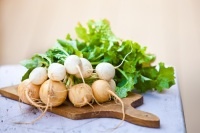 Андрей, Виссарион, Герасим, Григорий, Дмитрий, Евдокия, Иван, Игнатий, Иосиф, Леонид, Людмила, Макар, Максим, Мария, Никита, Николай, Петр, Порфирий, Семен, Степан, Федот, ЯковДата по старому стилю: 15 сентября.
В этот день отмечается память святого Никиты Готфского, которого православная церковь почитает в лике великомучеников. Никита жил в 4 веке на берегах Дуная. Приняв крещение, начал проповедовать христианство среди своих соплеменников-готов. Никита рьяно обличал в грехах правителя-язычника Атанариха, за что его арестовали и подвергли пыткам. Язычники хотели вынудить христианина отречься от веры, но Никита был тверд. В конце концов мученика приговорили к смерти через сожжение, однако огонь не опалил тело святого. Позже мощи Никиты Готского были перенесены в Константинополь.

На Никиту в деревнях начинался забой гусей, откормленных за лето. Дикие гуси в это же время улетали в теплые края, и охотники выходили на последний промысел. Птица шла и на продажу, и на крестьянский стол. Главным блюдом в этот день был, конечно, печеный гусь.

Угощали гусем и водяного, так как верили, что именно этот дух охраняет водоплавающих птиц. Ему отдавали лучшего гуся, предварительно отрубив птице голову. Так нужно было сделать для того, чтобы пропажу не обнаружил домовой, который охраняет домашнюю птицу и пересчитывает ее по головам.
В этот день говорили: «Гуси летят — зимушку на хвосте тащат, снег несут», — и делали различные предсказания, наблюдая за полетом птиц. Если гуси летели высоко — это предвещало высокое половодье весной. По поведению гусей судили и о погоде на ближайшее время: если птица стоит над лужей, поджимая одну ногу, значит, будет мороз, если полощется в воде — будет тепло. Шутники говорили так: «Если гусь нос под крыло прячет — быть ранней зиме, а если гусь заговорил с тобой — знать, хорошо ты Никиту Гусятника отметил».
Репу ели свежую, пареную, вареную... (Фото: LENA GABRILOVICH, Shutterstock)
В это время убирали репу с грядок, обрезали у нее ботву, поэтому праздник нередко называли Репорезом. Этот овощ, который часто присутствовал на крестьянском столе, русские люди очень любили. «Репа — не мясо, режь да ешь», — говорили они. Репу ели свежую, пареную, вареную, пекли из нее пироги, делали квас, варили кашу.

Детям рассказывали сказку про репку и загадывали многочисленные загадки. Например, такие: «В землю — крошки, из земли — лепешки»; «Кину кидком, вырастет клубком, под зеленым садком с хвостиком»; «Кругла, да не деньга; красна, да не девка; с хвостом, да не мышь»; «Сверху зелено, посередке толсто, к концу востро».Именины в этот день
