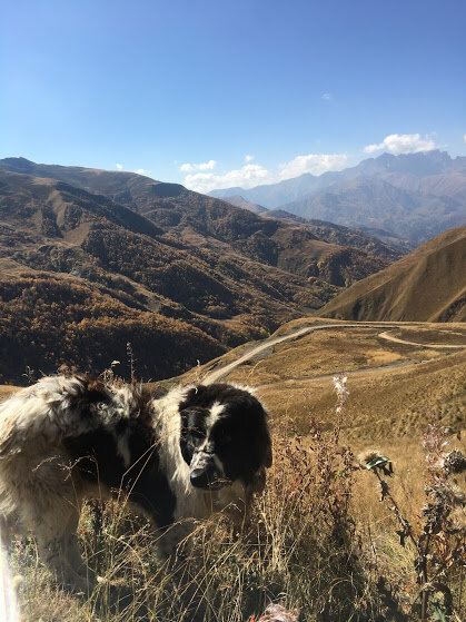 Дорога в Хевсурети