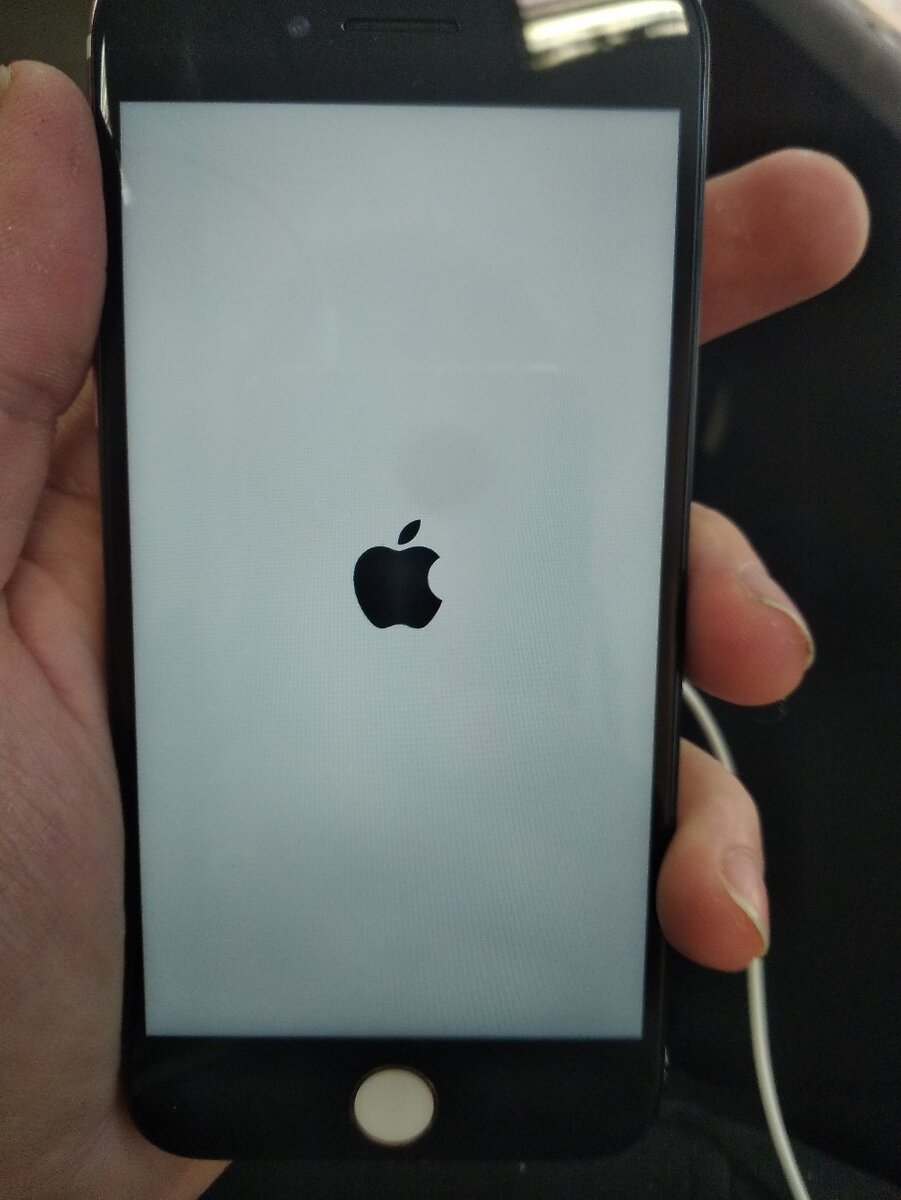 Висит на яблоке