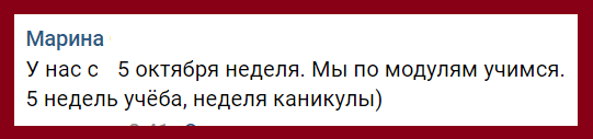 Скрин комментария из группы ВК. 