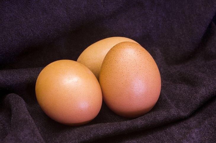 вся правда о пользе и вреде куриных яиц