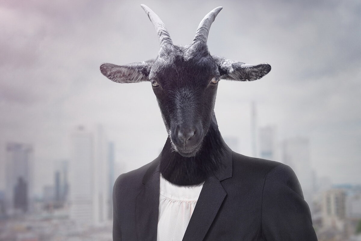 Фото взято с сайта pixabay.com