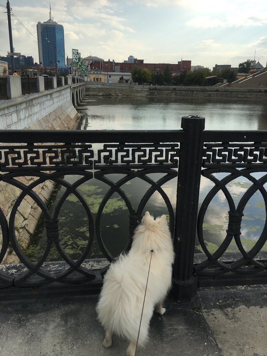 Надёжные чугунные  решетки на набережной реки Миасс предотвращают разные несанкционированные порывы