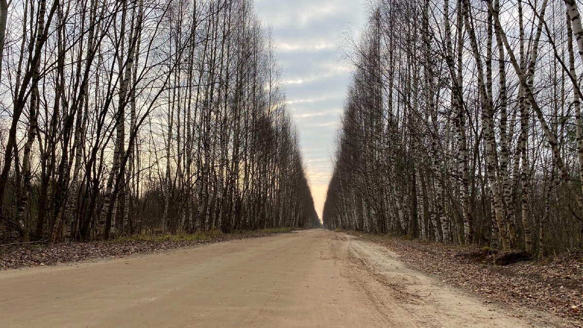 Деревенская дорога