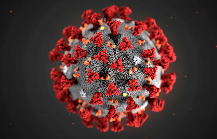 ТОП-15 фактов о коронавирусе на 2020 год.