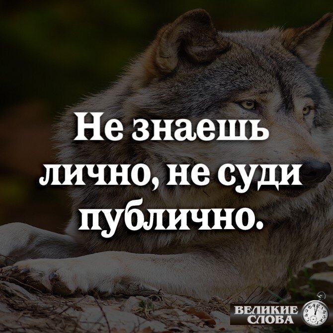 Не судите да не судимы будете. Не знаешь лично не суди публично. Не суди да РЕН судим будешь. Не судите и не судимы будете. Не суди.