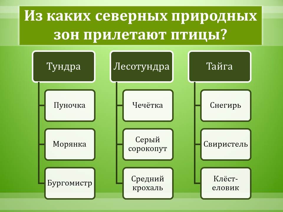 Фото Мосприрода