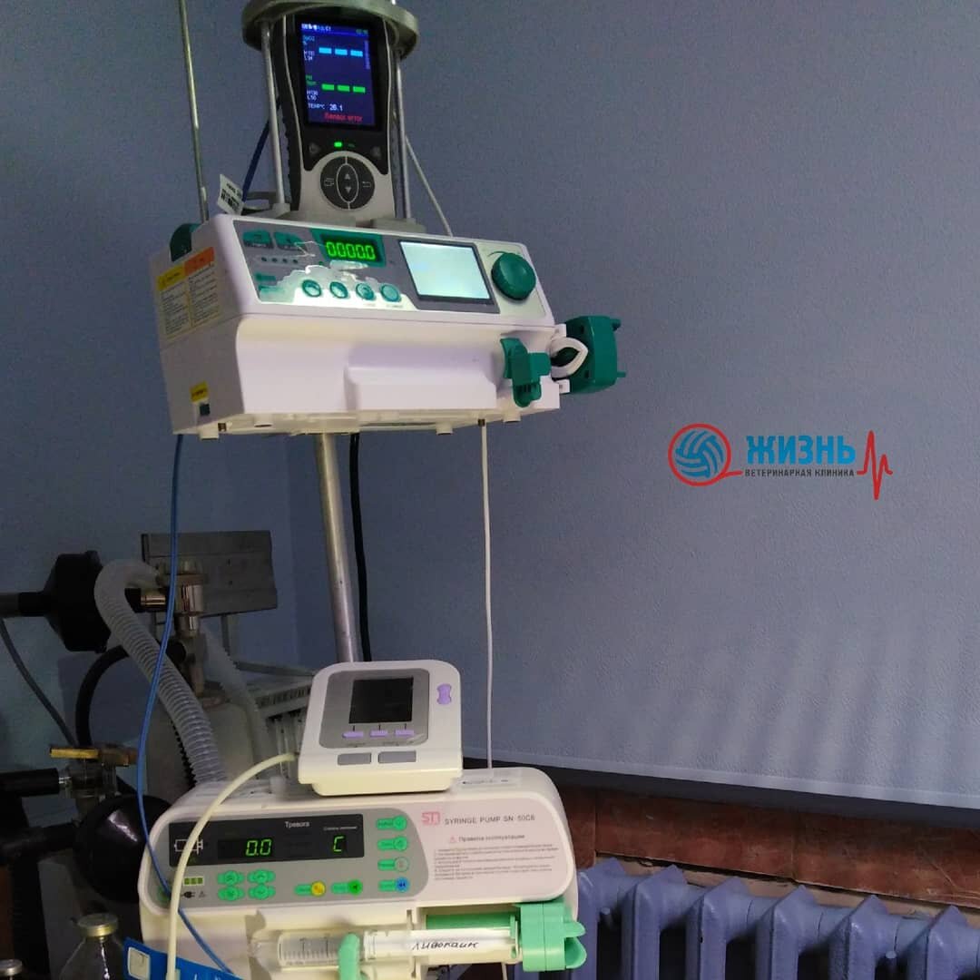 Операционная ветеринарной клиники в Калуге "Жизнь" 
