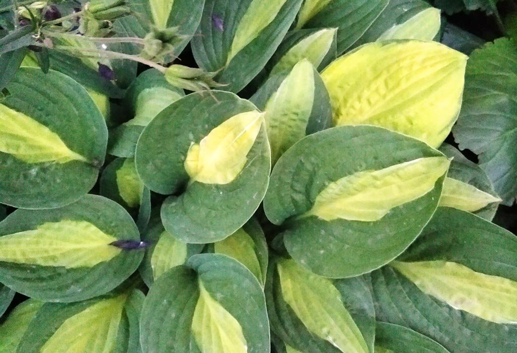 фото из личного архива автора