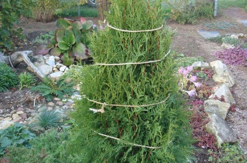 Слишком туго не обматывайте!