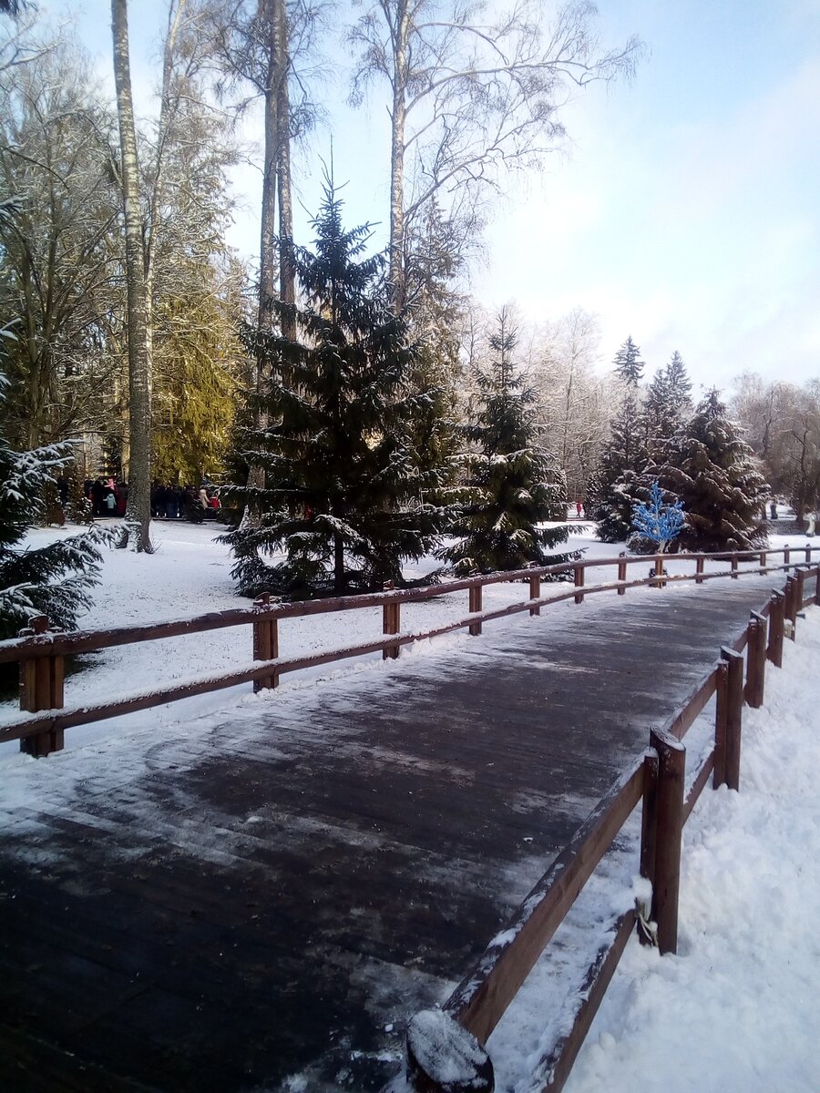 В резиденции Деда Мороза.