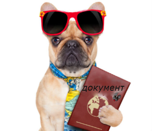 Повышение стоимости щенков