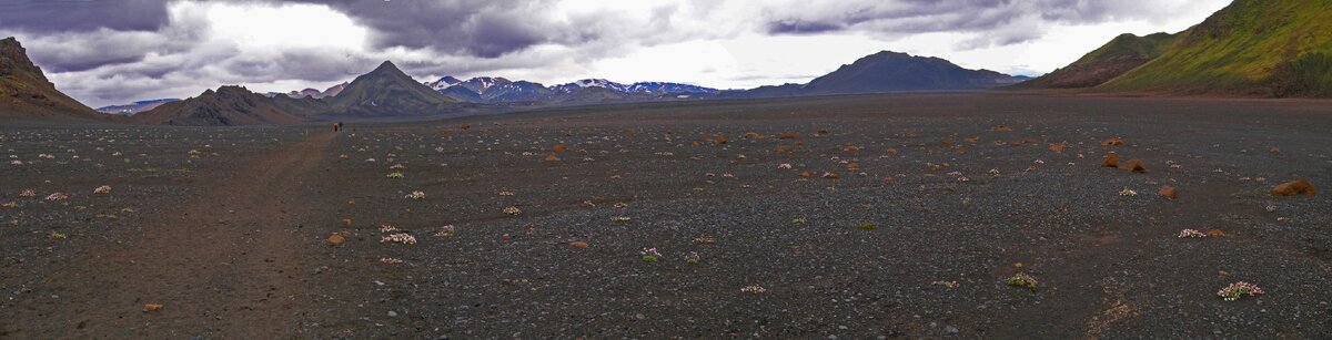 Переход Alftvatn - Emstrur.