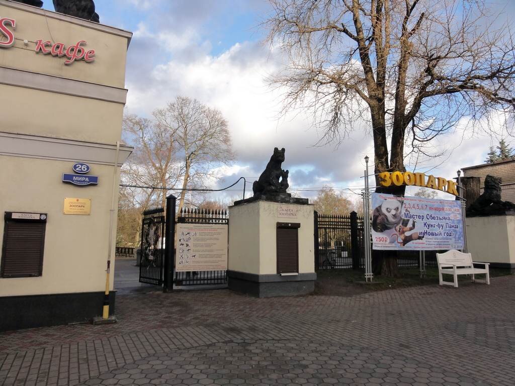 а стал вот таким (фото из открытых источников)