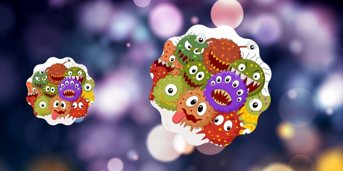 (обработанные фото из открытых источников)