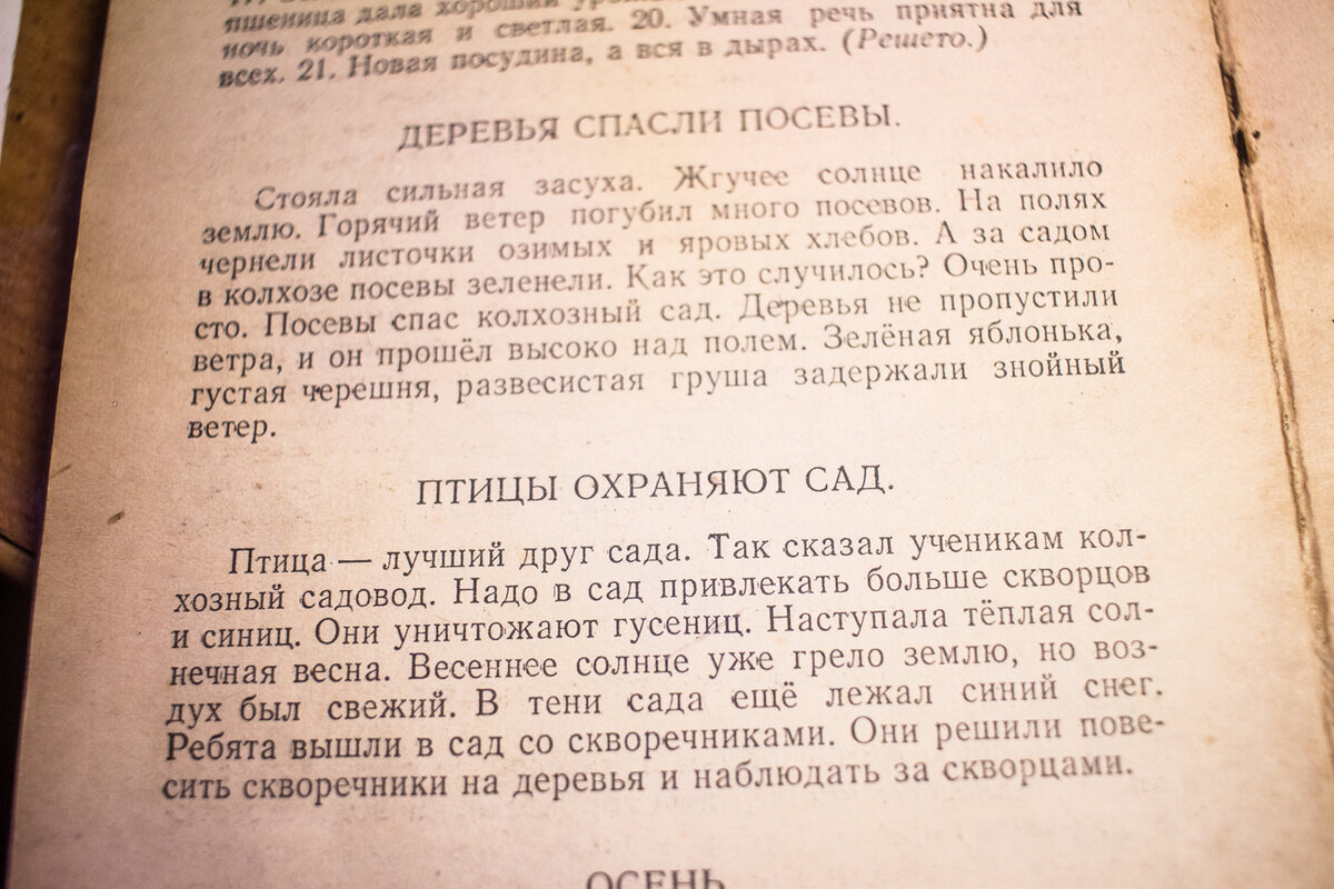 Диктанты для младшеклассников из 1952 года. | Ярина Яриловец и ее орхидеи.  | Дзен