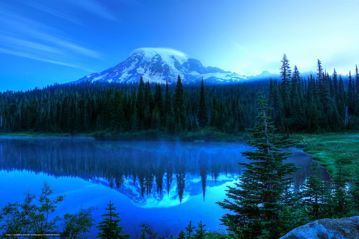 Фото из сервиса Яндекс.Картинки