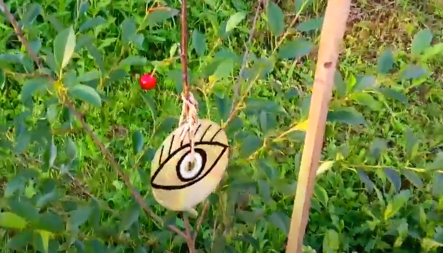 Отпугиватель для птиц