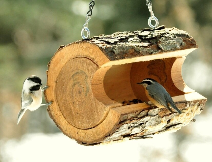 Кормушка для птиц из дерева (162 фото)