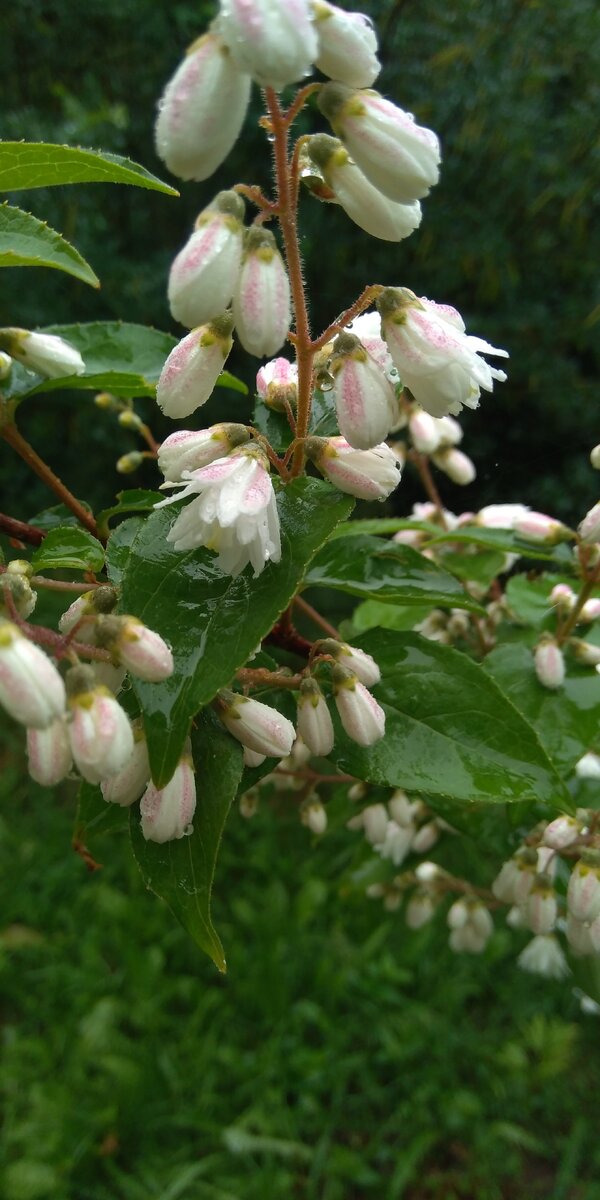 Советы и рекомендации