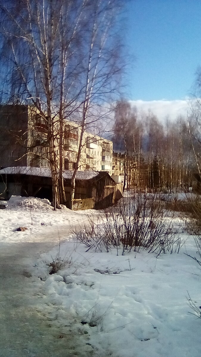 Вид на наши Черемушки