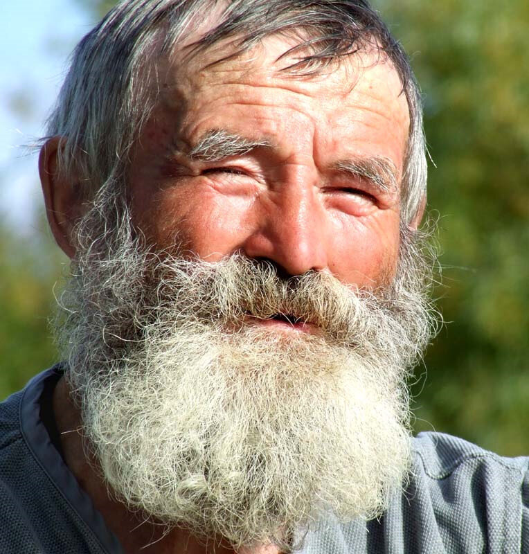 Яндекс картинки. 