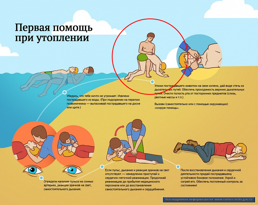 Дурошлёпство №1. Инфографика с официального сайта Администрации Засвияжского района города Ульяновска (http://admin-zasv.ru/)