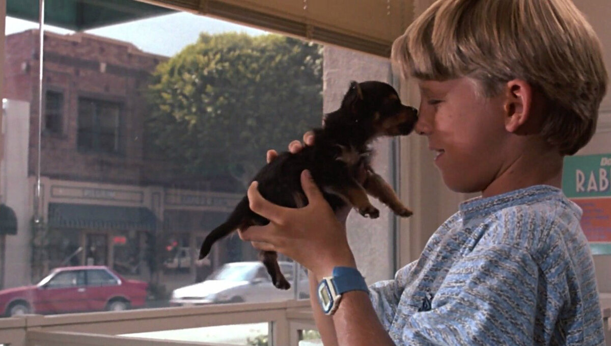 Фото-иллюстрация из открытых источников.