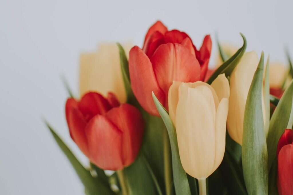 Регулярные медицинские осмотры: