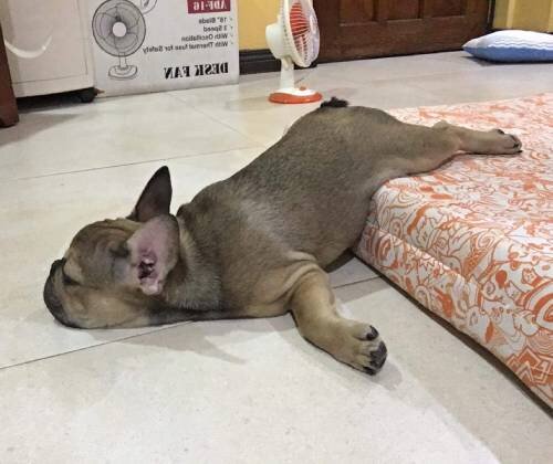 Уход и воспитание без проблем